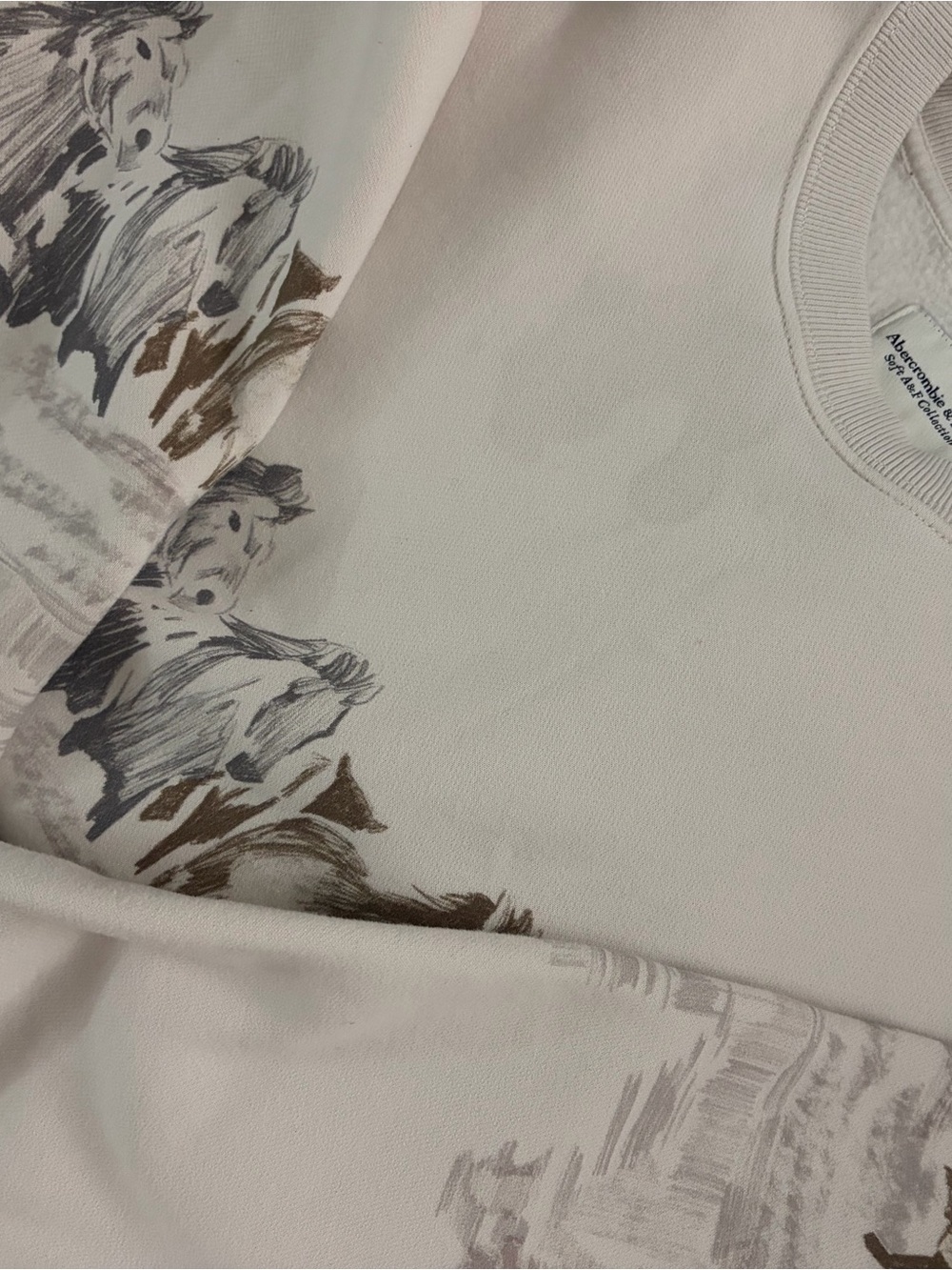 Wild Horses Abercrombie & Fitch Crewneck Medium